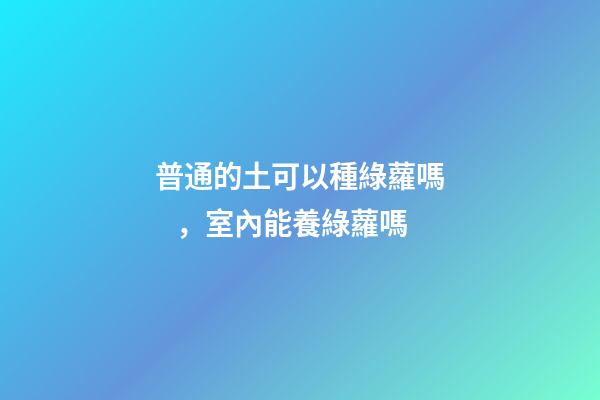 普通的土可以種綠蘿嗎，室內能養綠蘿嗎